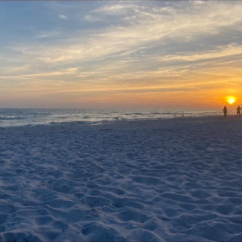 Meet your Posher, Savannah